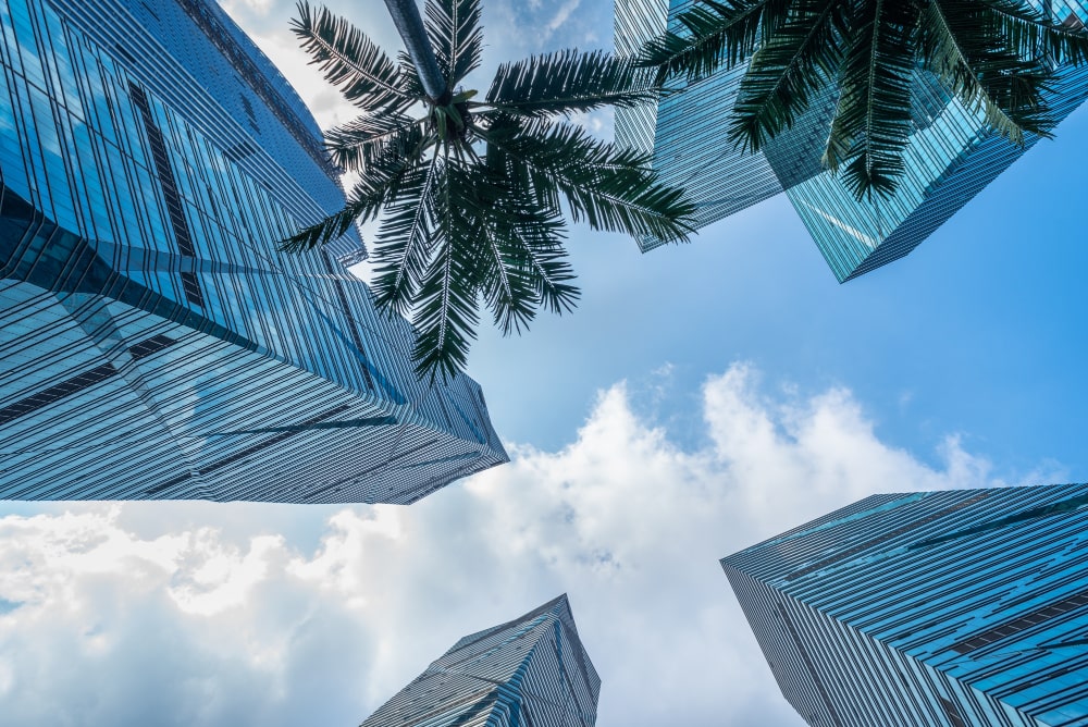 US LLC vs Dubai Free Zone Company: Which is Better for Global Entrepreneurs?