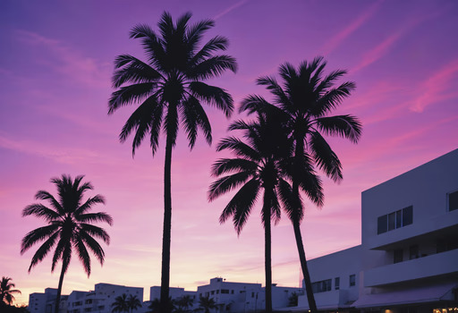 How to Create an LLC in Florida: Step-by-Step Guide in 2025